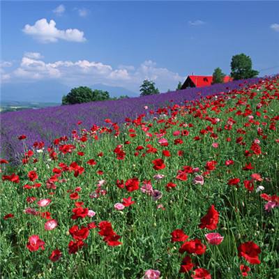 天博国际电子游戏app